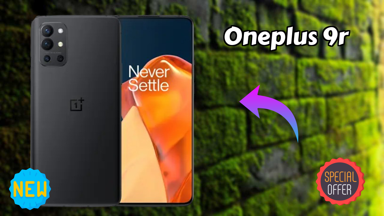 OnePlus 9R Camera Quality: 48 MP + 16 MP + 5 MP + 2 MP Rear Camera Photo Test