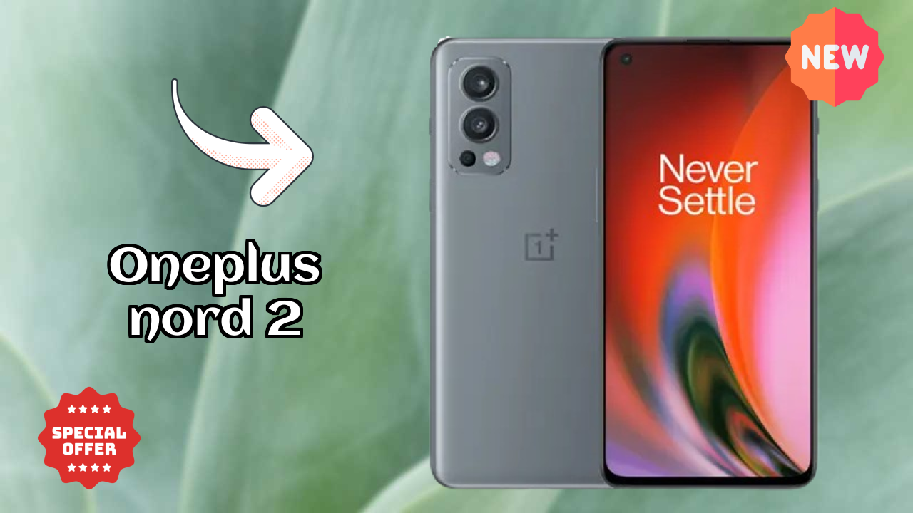 OnePlus Nord 2 Camera Quality: 50 MP + 8 MP + 2 MP Rear Camera Photo Review