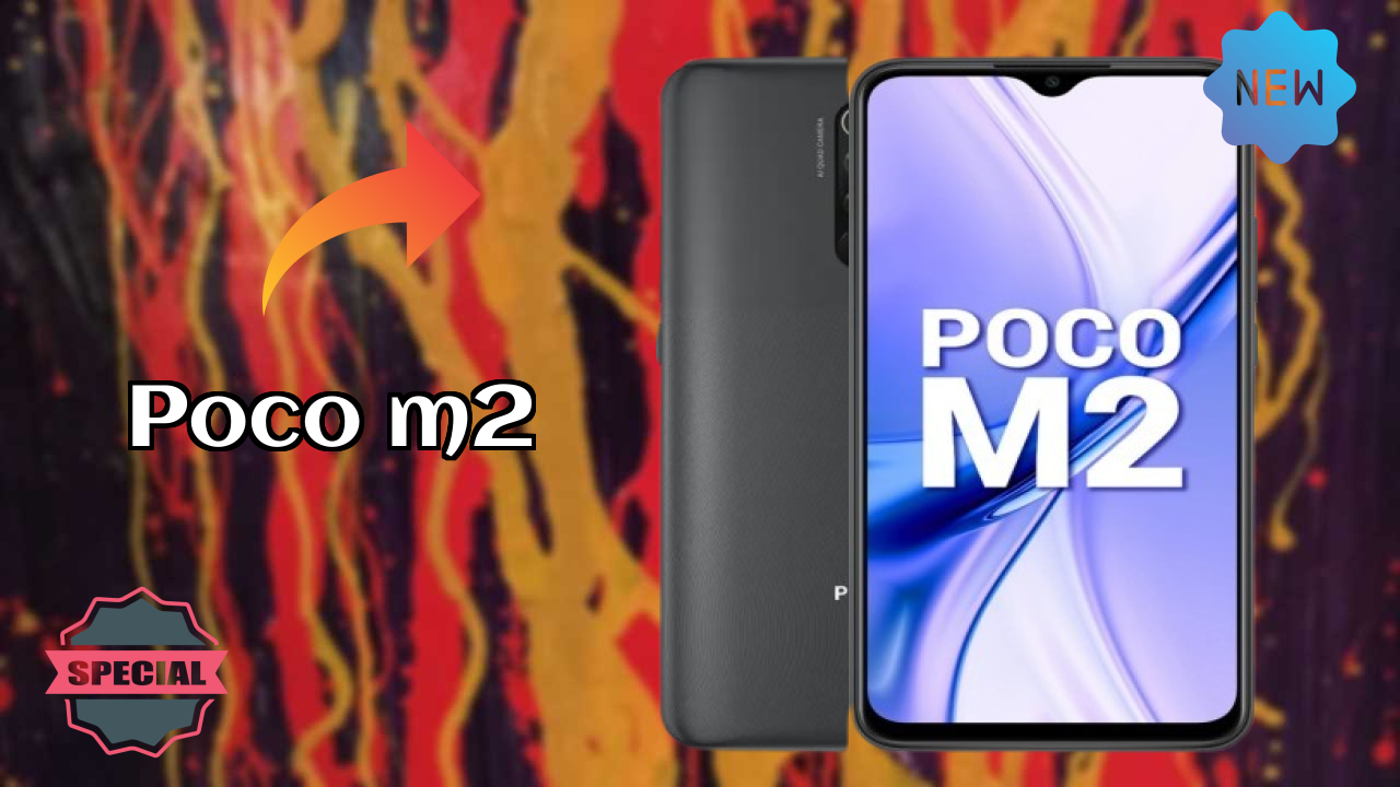 Is POCO M2 Good for Photography? 13 MP + 8 MP + 5 MP + 2 MP Rear Camera Review